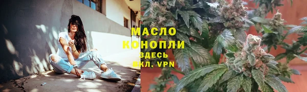 дмт Богородск