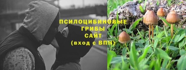 a pvp Богданович