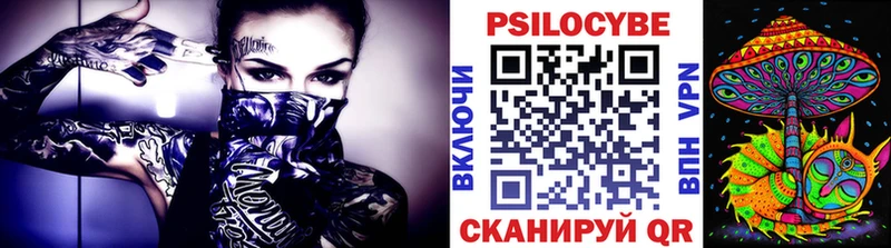 shop официальный сайт  KRAKEN зеркало  Псилоцибиновые грибы Magic Shrooms  Кизилюрт  где продают  
